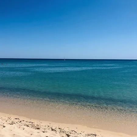 White House On The Beach *