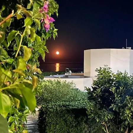 White House On The Beach 코스타 레이